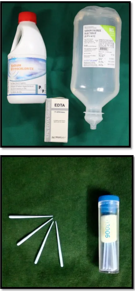 Figure 3 :  Irrigant solutions and gutta-percha cones. 