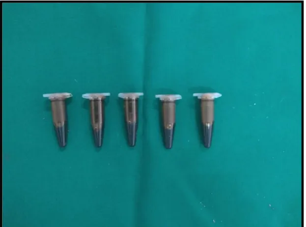 Figure 4: Teeth samples used in the study for analyzing depth of penetration 