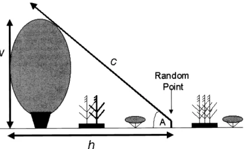 Fig.  1.  Depiction of measurement components  to  determine  cone  of vulnerability  (an integra-  tion  of  vertical  and  horizontal  dimensions of habitat structure)  where:  v  =  height  of  obstruction  (vertical  structure),  h  =  distance  from  