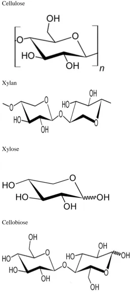 Figure 4.2   