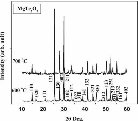 FIG. 1. XRD profile of MgTe2O5 calcined and sintered at 600 and700 °C, respectively.