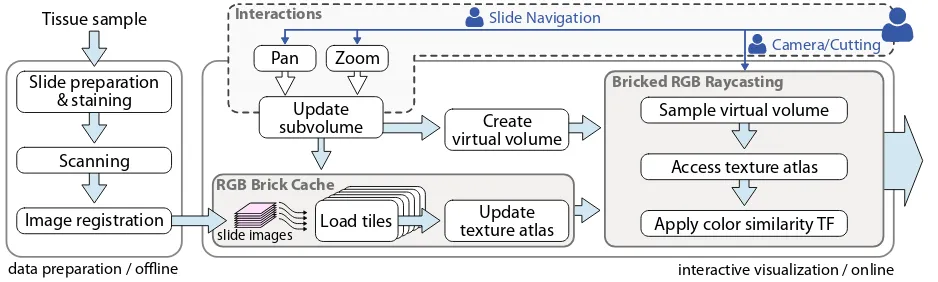 Fig. 6 depicts the rendering pipeline of our visualization system. Inorder to create a slide stack, we perform an image-based registrationwith the original data instead of an intermediate representation