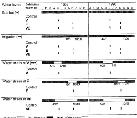 Fig.  2.  Periods of  imposition of  the different  water  levels  and  timing of defoliation  (indicated  as  vertical  solid  bars)  at  the  vegetative  (V),  internode  elongation  (E)  or  both  (VE)  phenological  stages in  1995  and  1996