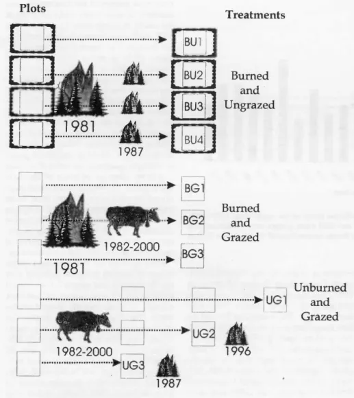Fig.  1.  Summarization of disturbance history  for the various  treatments. 