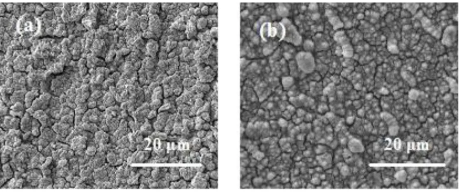 Figure 4.  Morphology of surface of sample #1 and sample #2 after 100 cycles 