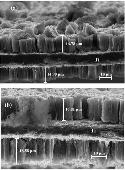 Figure 5. Fracture cross-sections of sample #1 (a) and sample #2 (b) after 100 cycles 