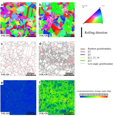 Figure 1.  The metallographic photos of (a) solution annealed 316L (316L-SA) and (b) cold rolled 316L (316L-CR)