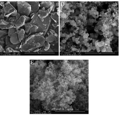 Figure 7. SEM images of different carbon materials. (A) activated carbon, (B) expanded graphite, (C) flake graphite, (D) carbon black, (E) acetylene black