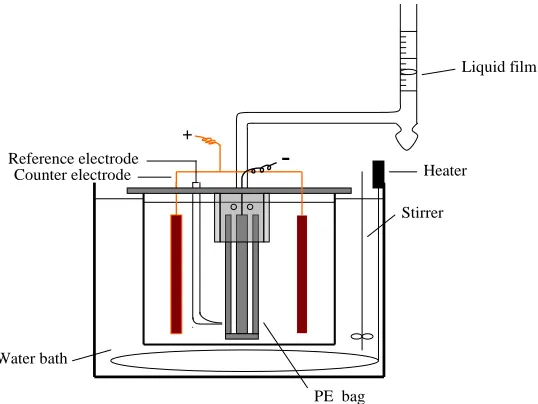 Figure 1. Apparatus used to determine hydrogen gassing. 