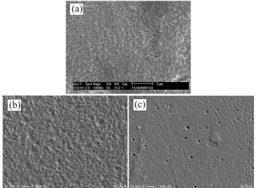 Figure 2 . SEM images of Cu electrode surface after anodic polarization in Lewis neutral EMICl-AlCl3 (a) (Reprinted with permission from ref