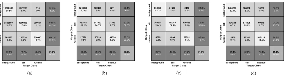 Fig. 10.Confusion matrices for SegNet with augmented images and polytree segmentations with scale-space diﬀerential invariants on the two real datasets.The overall accuracy of using polytree (a) was slightly higher than SegNet (b) on BBBC020 dataset, while