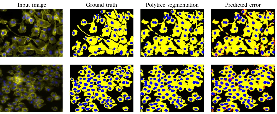 Fig. 16.The ability of the proposed method in nominating the possibly wrongly segmented areas shown for samples from BBBC020 (ﬁrst row) and BBBC007(second row) datasets