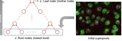 Fig. 1.Generating a polytree from an oversegmented input image.