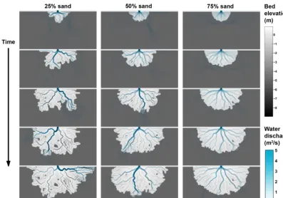 Figure 6. Time series of delta formation with different ratios of sand and mud ﬂux (runs 1, 2 and 3)