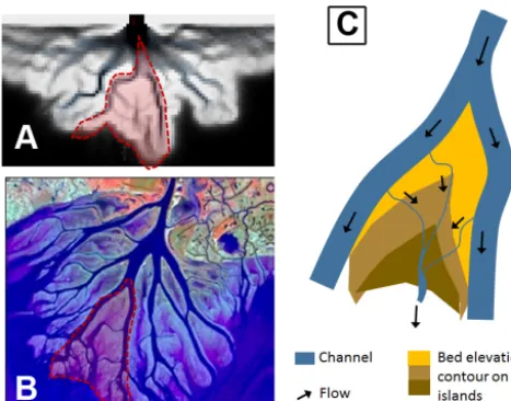 Figure 10. Flow features on the island of a delta formed in a shal-feature on the island (Shaw et al., 2013) observed both in the ﬁelddepth (where basin depth (low basin