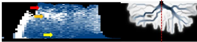 Figure 12. Time series of the stratigraphic slice in the strike direction about 20 cells (1 km) away from the inlet channel