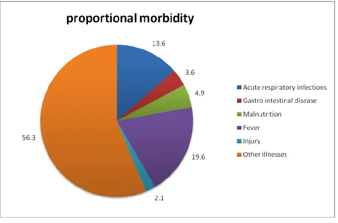 Figure 1:  Proportional morbidity in children 0-59 months, Agincourt HDSS 2006. 