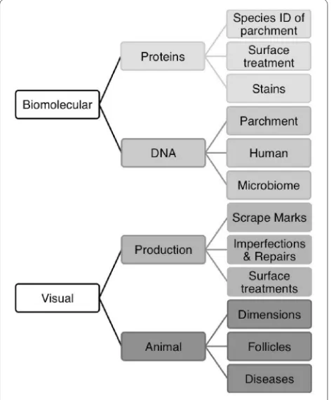 Fig. 1 Methods of biocodicological analysis
