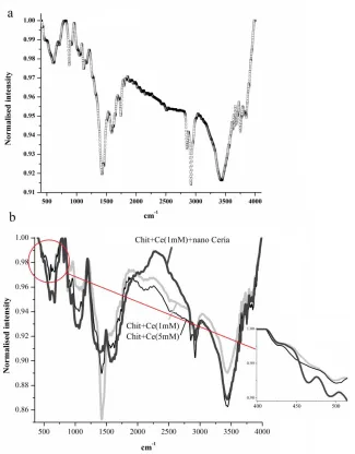 Figure 1.  FTIR spectrum of CHIT (a), CHIT-CE and CeO2-CHIT-CE (b) coatings on AA5083-H321