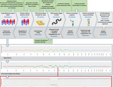 Figure 1. Workflow of samples from tumours sampled from the Leeds Melanoma Cohort. The path below shows how sample numbers are reduced through the process