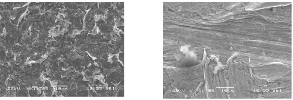 Figure 8.  SEM micrographs (1700x) of C-steel immersed in 1.0 M HCl in the absence (a) and presence of 2.0 g/L of LKS (b)  