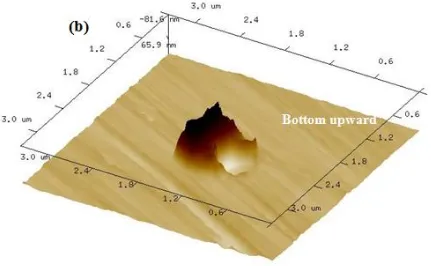 Figure 4.  The images of single metastable pit after 0.4 V (SCE) polarization (a) SEM image with EDX analysis on the inclusion and matrix and (b) 3D AFM image