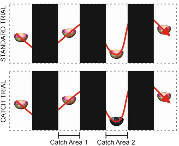 Figure 3. Schematic representations of standard and catch trials in the fluent condition