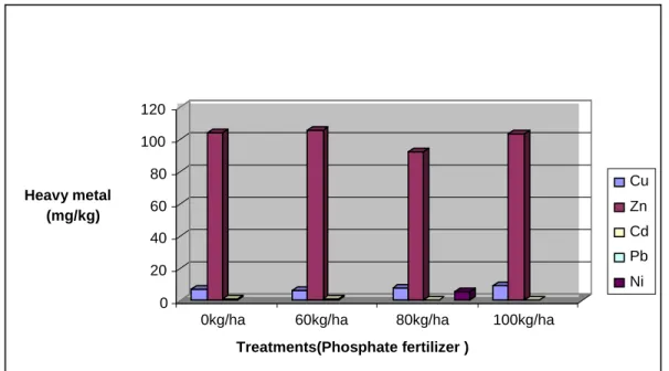 Fig 1. Effect of phosphorus fertilizer on heavy metal uptake in the stem of Amaranthus Caudatus plant 