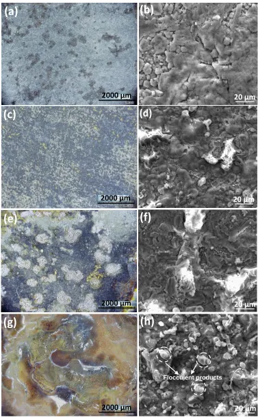 Figure 7. OM image (a, c, e, g) and SEM image (b, d, f, h) of X80 steel under TEL with various thicknesses after 96 h exposure