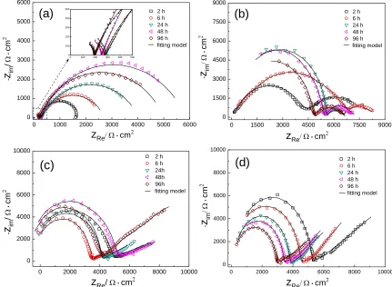 Figure 4. Nyquist plots of X80 steel under TEL with various thicknesses for 96h. (a) bulk solution; (b) 300 μm TEL; (c) 145 μm TEL; (d) 70 μm TEL 