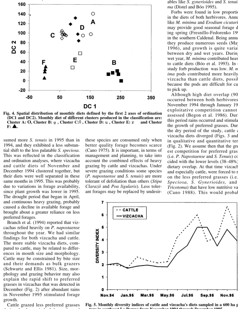 Fig. 5. Monthly diversity indices of cattle and vizcacha's diets sampled in a 600 ha pas- pas-ture in southeast La Pampa from November 1994 through December 1995.