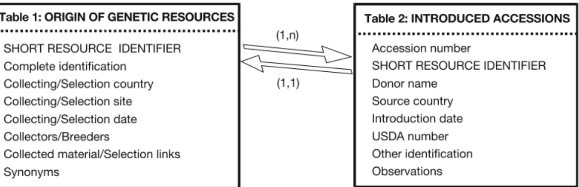 Figure 3.4. Tables of passport data with their links in the database ‘CaféBase’. The access keys  are indicated using bold letters