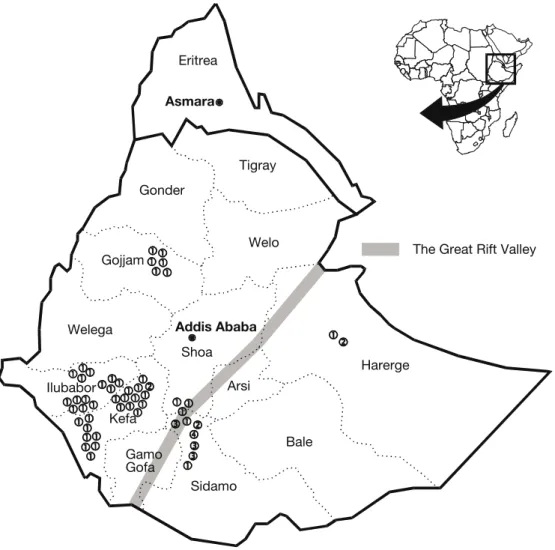 Figure 4.2. Distribution of four Ethiopian genetic groups formed on the basis of RAPD  polymorphism (adapted from Anthony et al