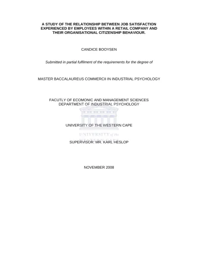 THE JOB SATISFACTION SURVEY (JSS): - MEASURING INSTRUMENTS