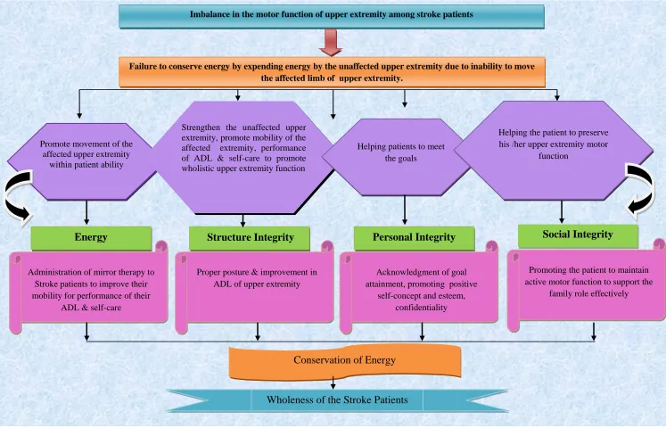 Figure 1: Conceptual framework based on Myra Levine’s Energy Conversation Model (1967) 12 