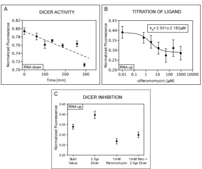 Figure 4.2: Dicer activity is measured in an excess of the RNA substrate. As the processing rateis thus only limited by Dicer concentration (2.5 µl Dicer solution in 1 ml buﬀer), it islinear with incubation time