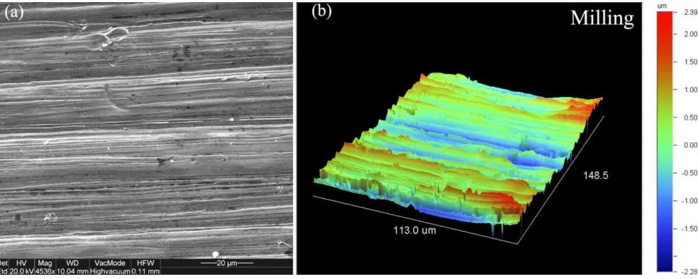 Figure 3.  Representative (a) 3D-optical profilometric along with (b) the corresponding secondary electron image for treated sample by milling with a CAD/CAM device (MIL)