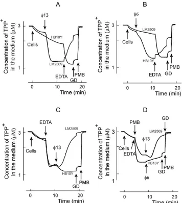 FIG. 4. Effects of phages �in 50 mM sodium phosphate buffer (pH 7.0) with 3used at the ﬁnal concentration of 0.2 mM, and GD was used at 4for panel D, where the ﬁnal PMB concentration was 513 (A, C, and D) or �6 (B and D) on TPP� uptake by P