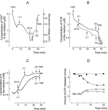 FIG. 5. Phage and EDTA effects on TPP��and PMB were added to the ﬁnal concentrations of 4 and 100at 28°C in 100 mM sodium phosphate buffer (pH 8.0)