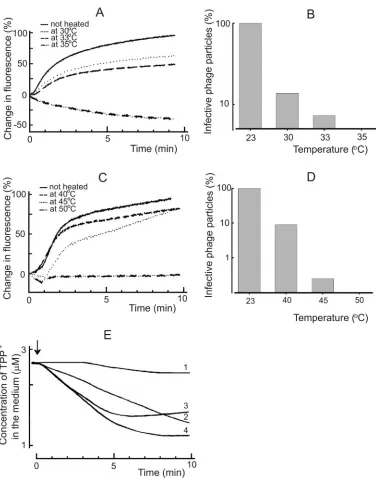 Fig. 2B) suggests the presence of an irreversible binding step