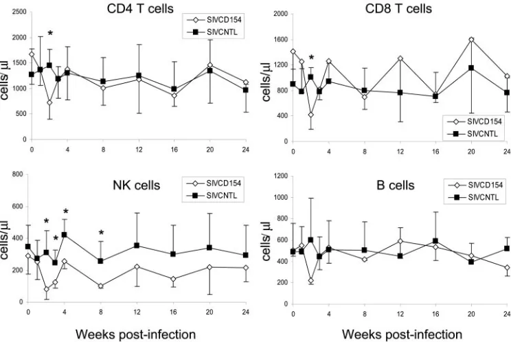FIG. 7. Changes in absolute values of peripheral blood lymphocytes after infection with SIV vectors