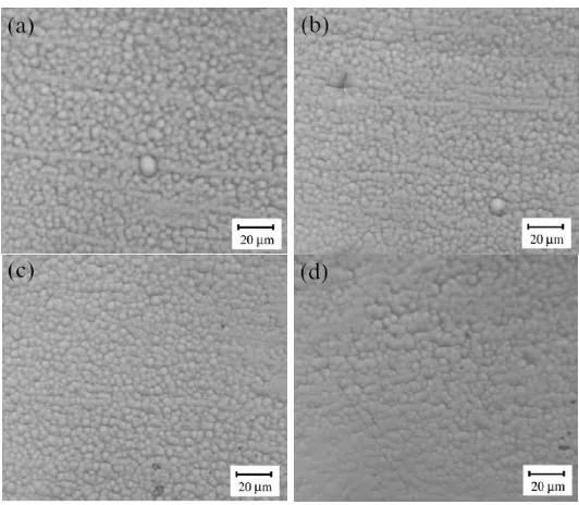 Figure 2. Surface morphology of Ni-P coating with magnification of 5000×  