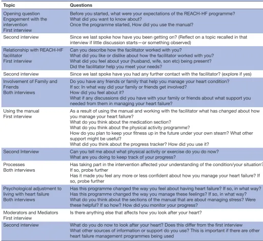 Table 1 Qualitative interview topic guide
