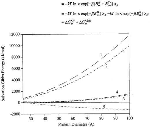 Fig. 1 Calculated curves of  solvation  Gibbs energy as a function  of  the protein diameter, using 5%  as the  criteria  in  determining  whether a  HQI  atom  is  exposed to the solvent
