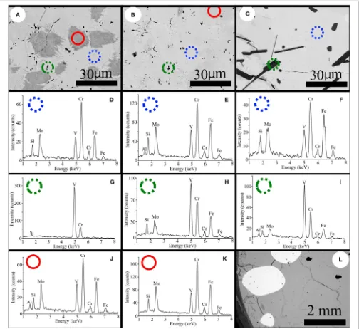 FIGURE 6 | Backscattered electron images of SiFeVCrMo (A) as-cast, (B) after annealing at 991◦C (0.5 Tm) for 48 h, and (C) after annealing at 1289◦C (0.65 Tm) for48 h