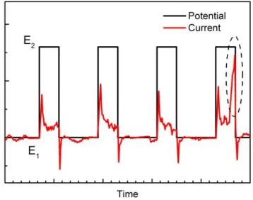 Figure 2.  The potentiostatic pulse and corresponding current of PPT. 