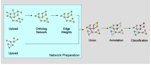 Figure  4  Functional  classification  using  CABiNet’s  processing  pipeline.  In  this  application,  CABiNet is used both for preparation of the networks as well as for the classification task