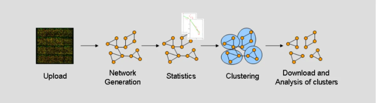Figure  5  Identification  of  functional  modules  from  gene  expression  data.  In  the  first  step,  uploaded  data  from  gene  expression  experiments  is  transformed  into  a  network