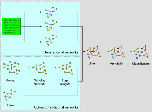 Figure 6 Design of a semi-automatic classification system for novel genomes. This model system  consists of three larger parts