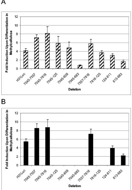 FIG. 8. Induction of the H31Luc and mutant plasmids from nt 613to 683 (A) and nt 691 to 740 (B)